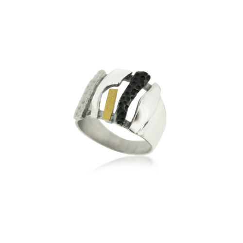 1856 - R1856 - SILVER & GOLD RING R1856